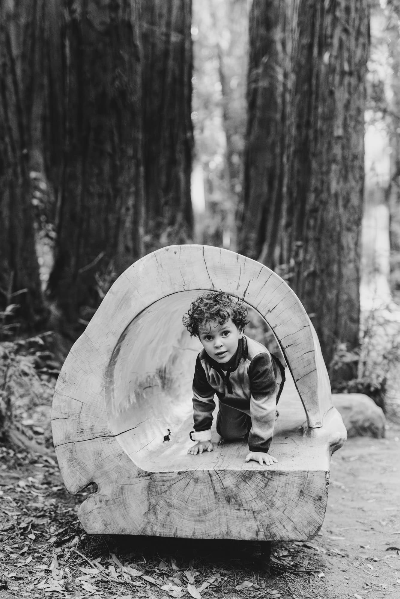 Brandi rollins photo garvais family 2025 0004