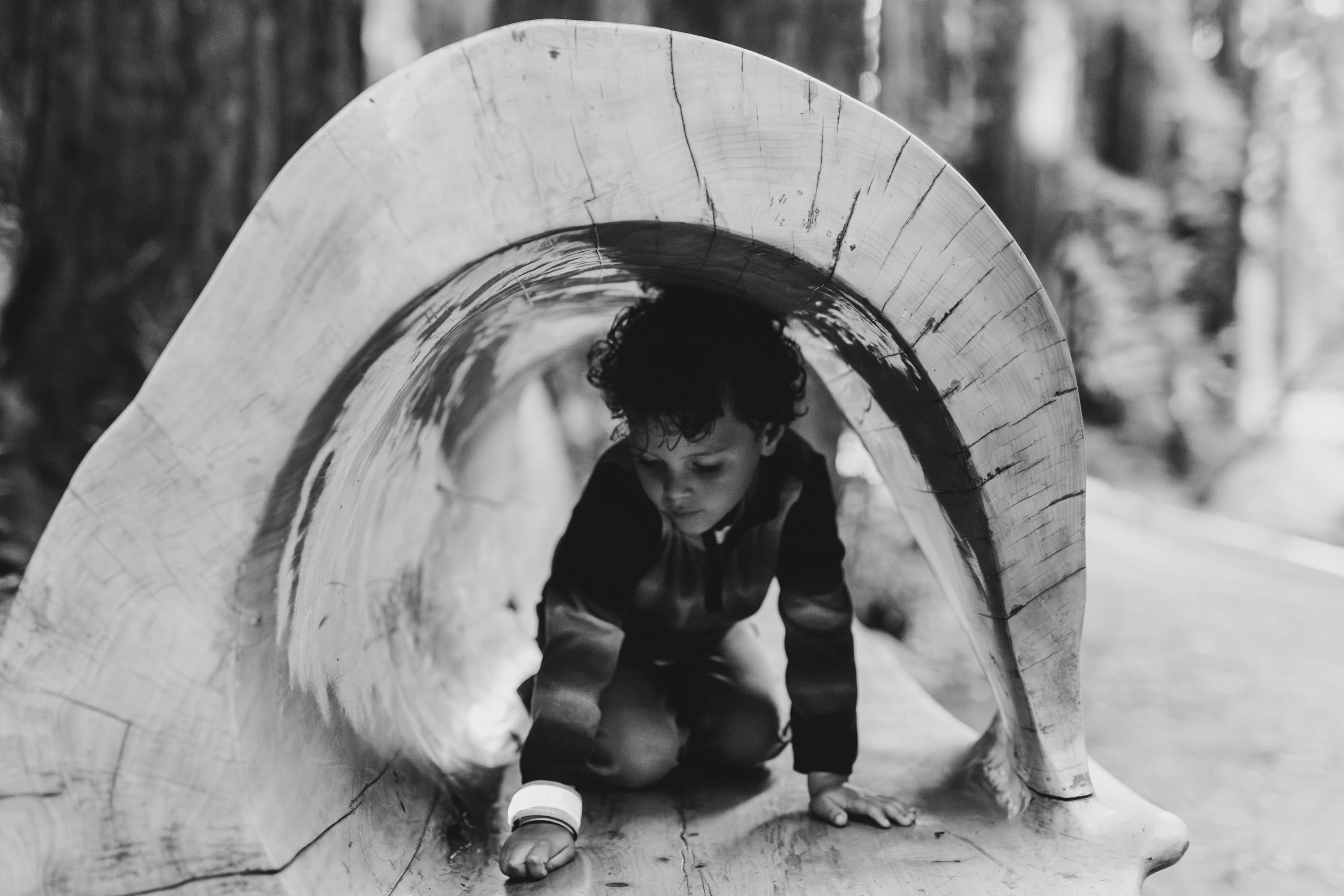 Brandi rollins photo garvais family 2025 0006