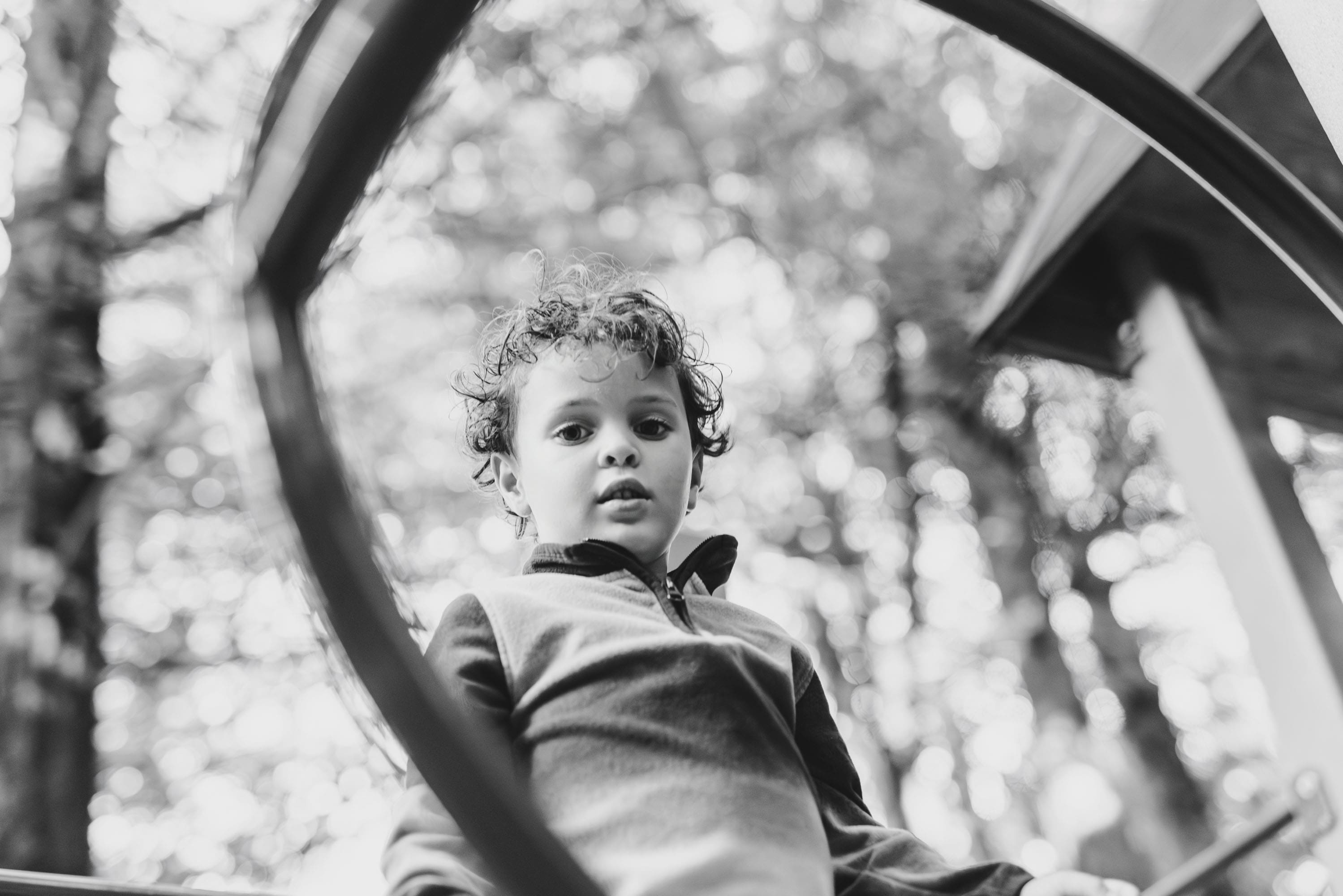 Brandi rollins photo garvais family 2025 0039