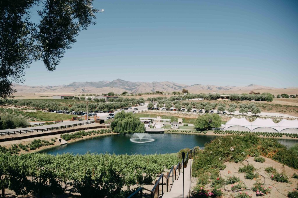 Aerial view of the ceremony at Lavanda at Leal Vineyards